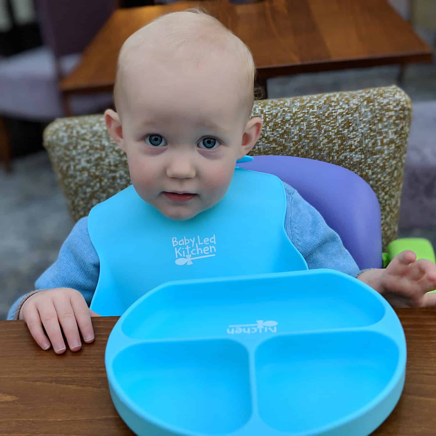 Crumb-Catcher Bib & Suction Plate